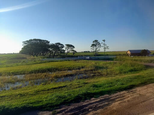 banco Estancia La Carreta Braford